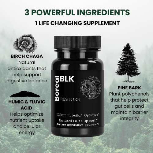 Restore - Natural Gut Support